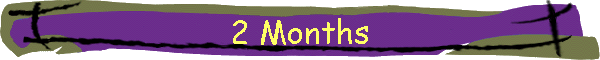 2 Months