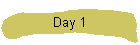Day 1