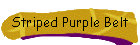 Striped Purple Belt