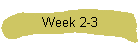 Week 2-3